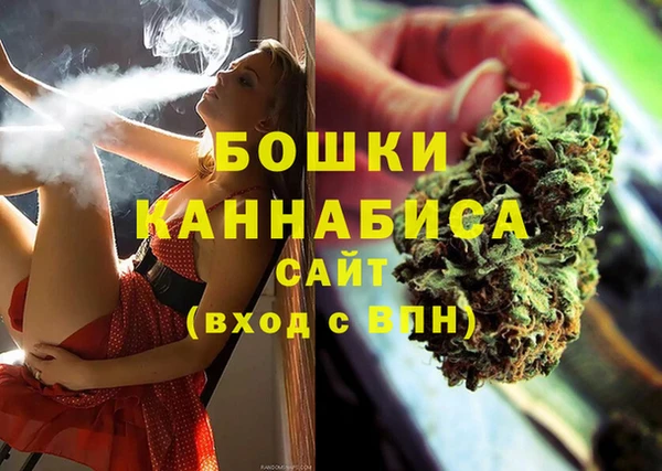 мдпв Вяземский
