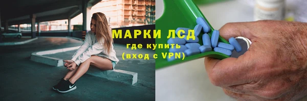 мдпв Вяземский