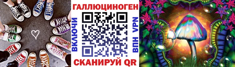 кракен маркетплейс  где найти наркотики  Обоянь  Галлюциногенные грибы Psilocybe 